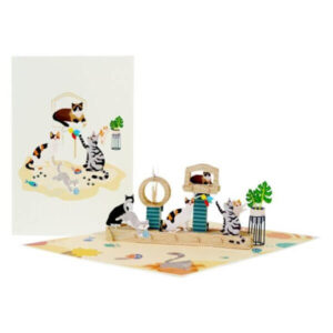 Cats Gone Wild Pop-Up Card