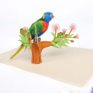 Parrot 2 Pop Up Card