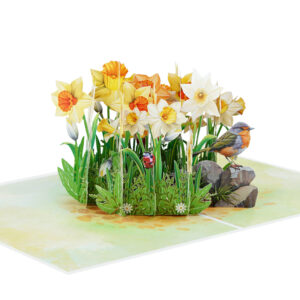 Daffodils with Robin Pop-up Card